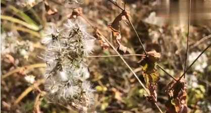 牡丹江消失的工厂,海林报恩寺航拍,80年代的牡丹江视频